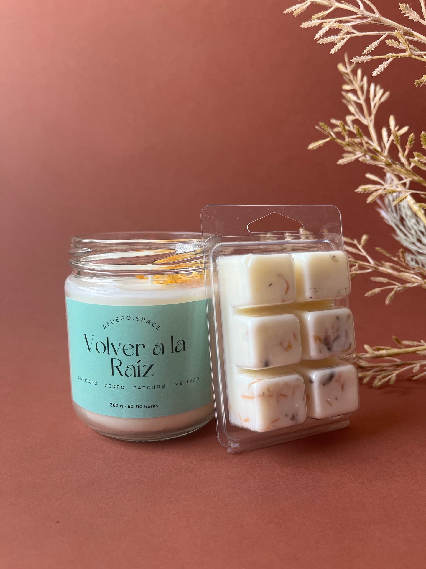 Pack Vela Grande + Wax Melt (combínalos)